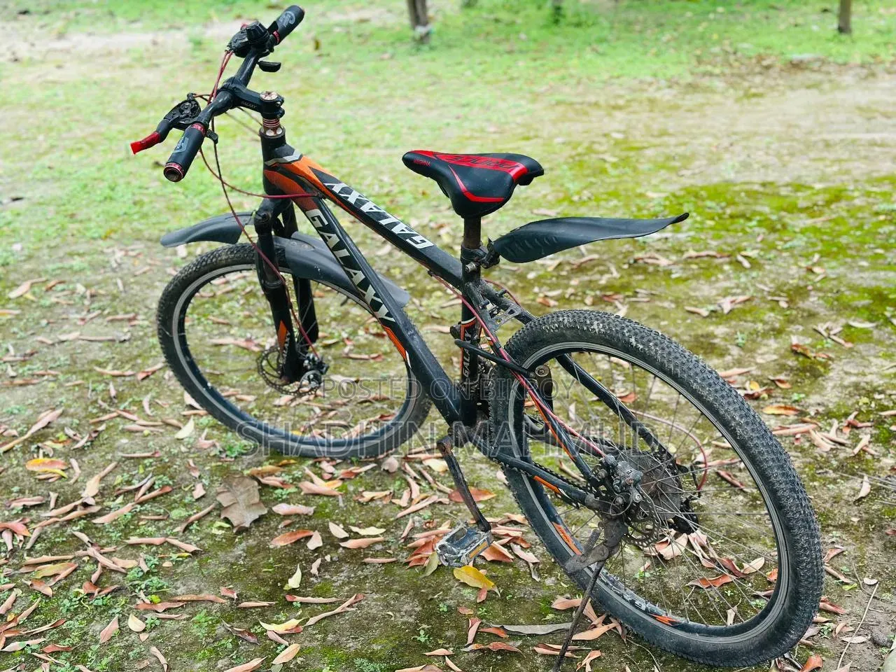 Galaxy 8-Speed Gear Cycle