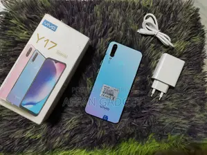 ভিভো ওয়াই ১৭ ২৫৬ জিবি গোলাপি