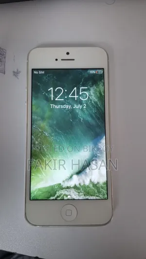 Apple iPhone 5s 16 GB Gray