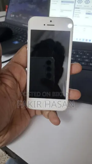 Apple iPhone 5s 16 GB Gray