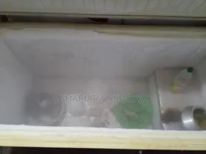 ডিপ ফ্রিজ বিক্রির জন্য