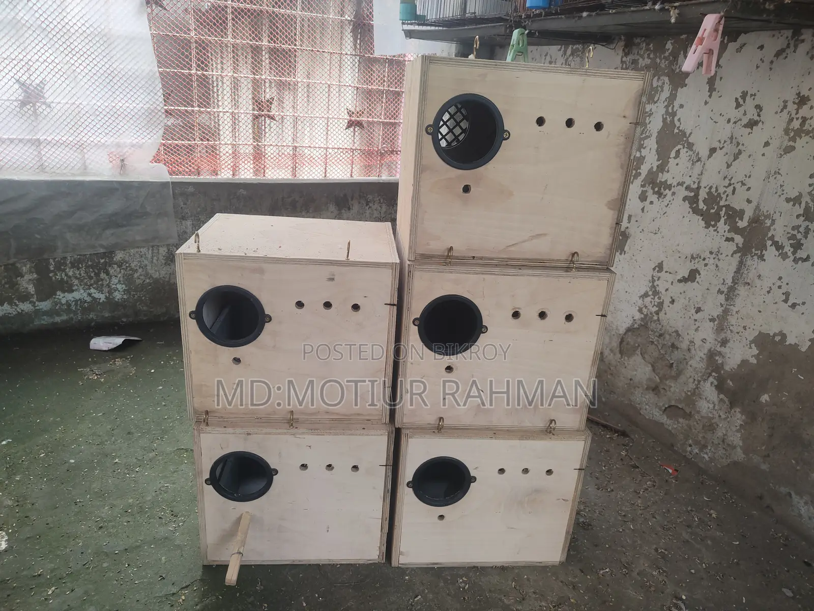 Cocktail Breeding Box for Sale