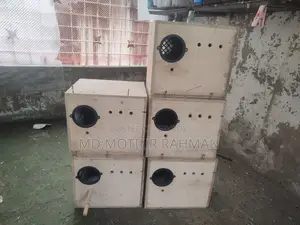Cocktail Breeding Box for Sale