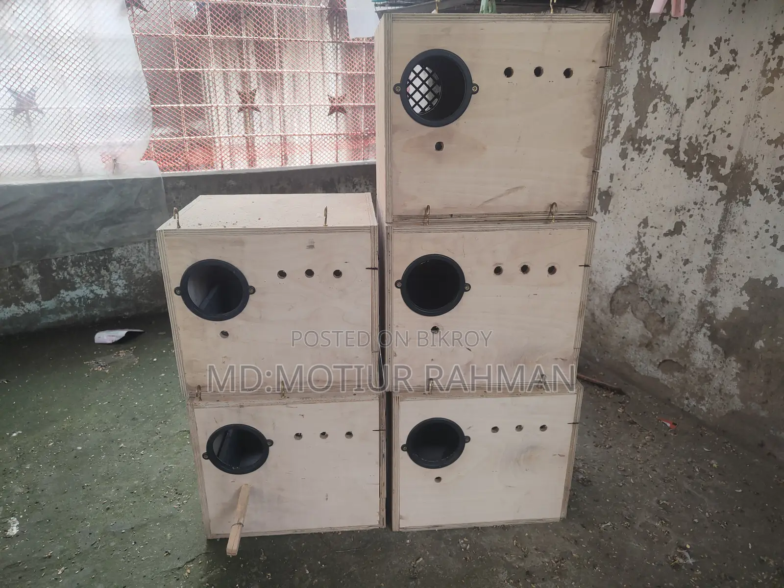 Cocktail Breeding Box for Sale