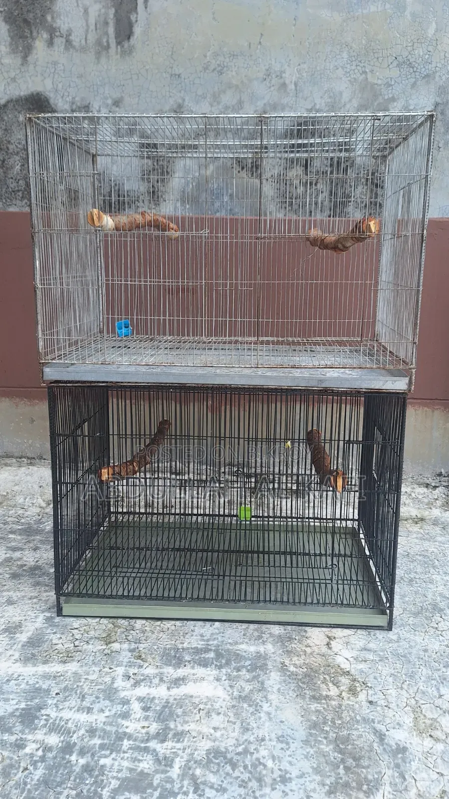 Bird Cage
