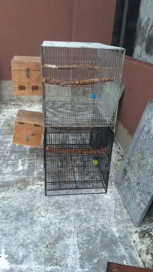 Bird Cage