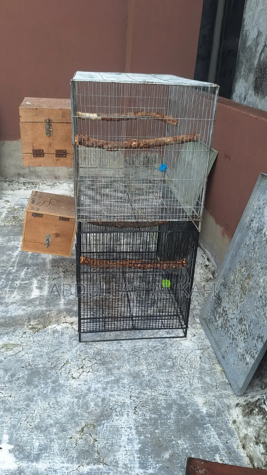 Bird Cage
