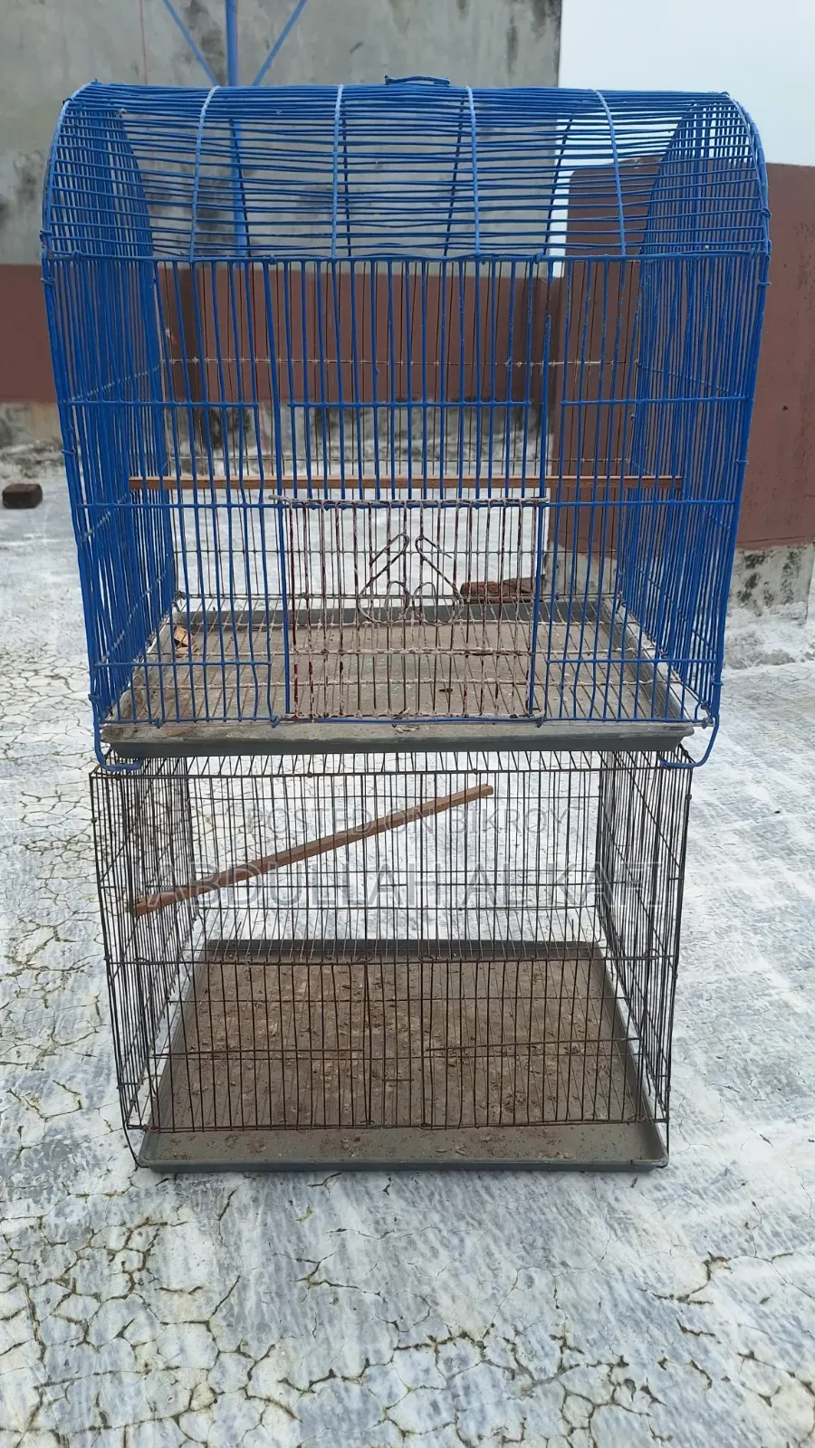 Bird Cage