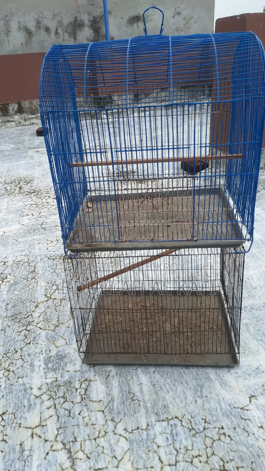 Bird Cage