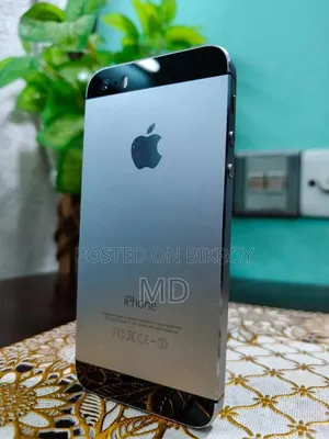 Apple iPhone 5s 32 GB Gray