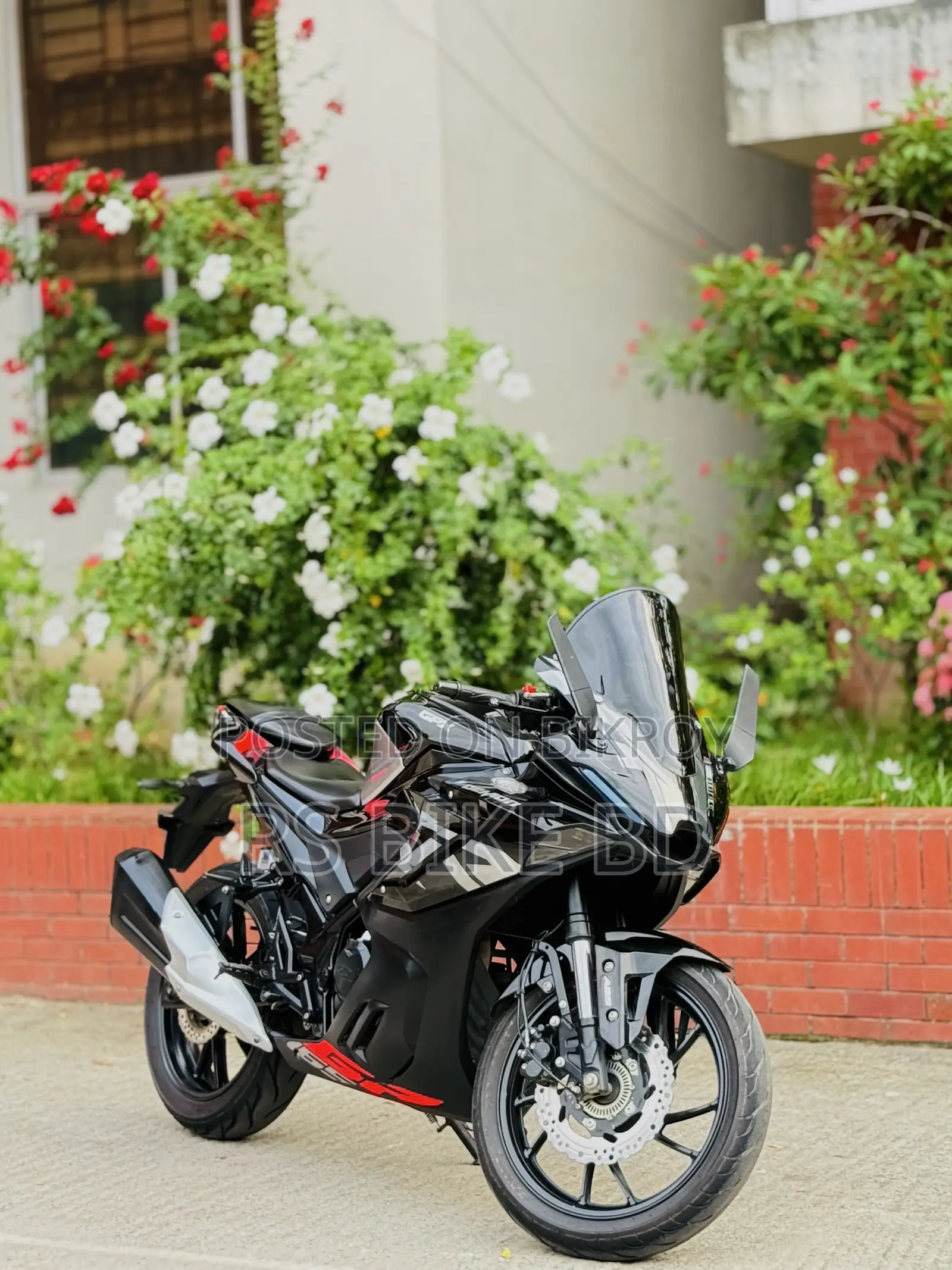 GPX GR200R Dacorsa2 2025 Black
