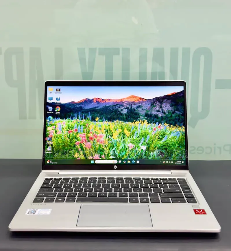 Laptop HP ProBook 445 G8 8GB AMD Ryzen 5 SSD 256GB
