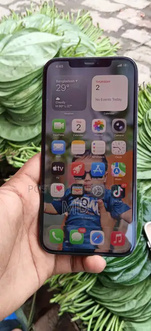 Apple iPhone 12 Pro Max 128 GB Green