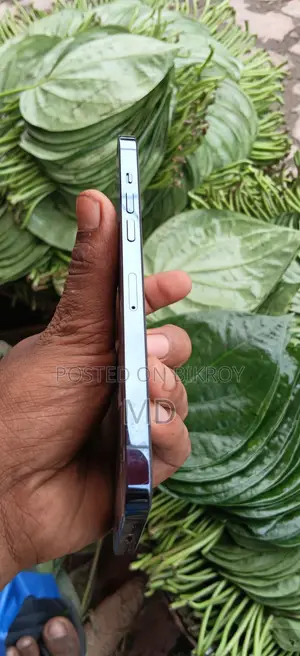 Apple iPhone 12 Pro Max 128 GB Green