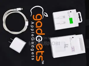 Apple Original Charger