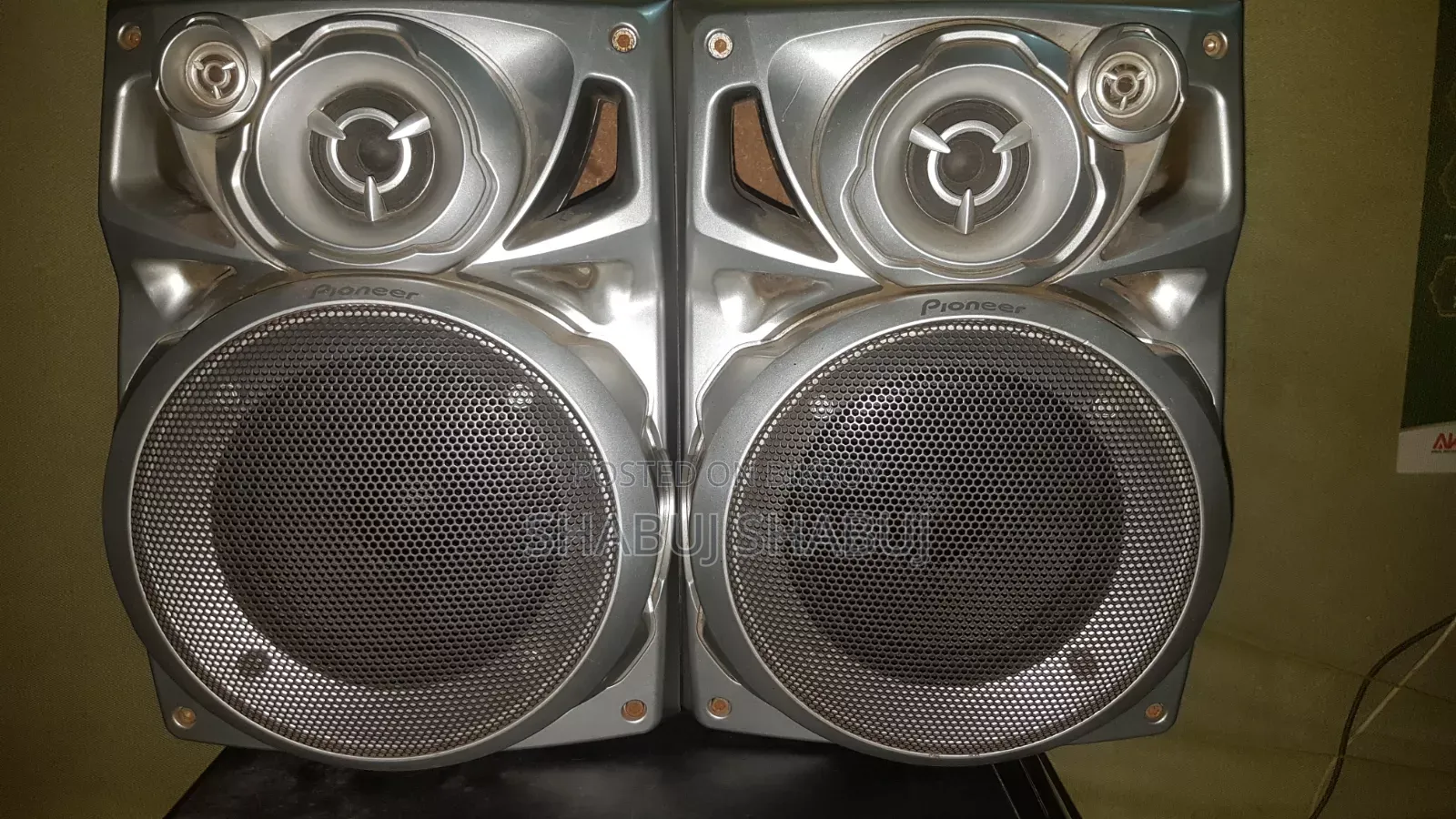 Pioneer Speaker
