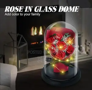 Artificial Rose Bouquet in Glass Dome Led Fairy Lights With Gift Box