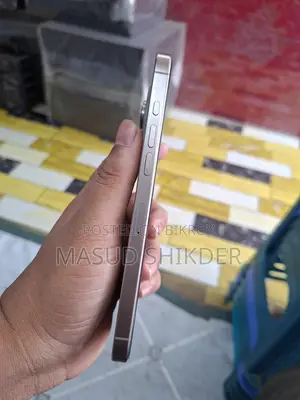 Apple iPhone 16 Pro Max 256 GB Gray