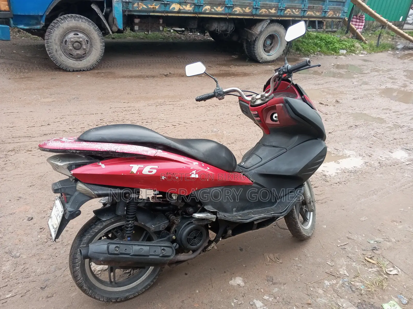 Znen T6 2015 Red