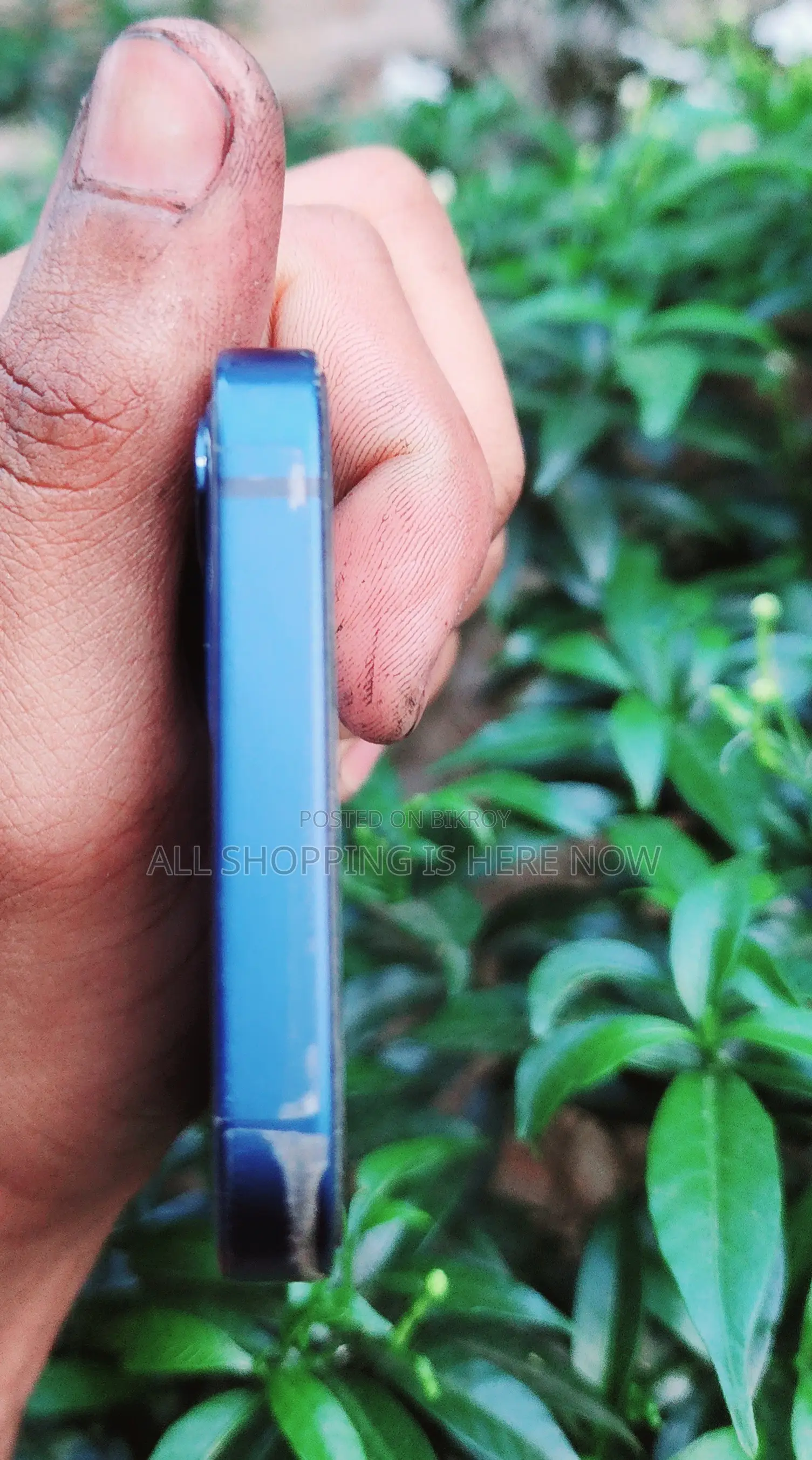 Apple iPhone 12 mini 128 GB Blue