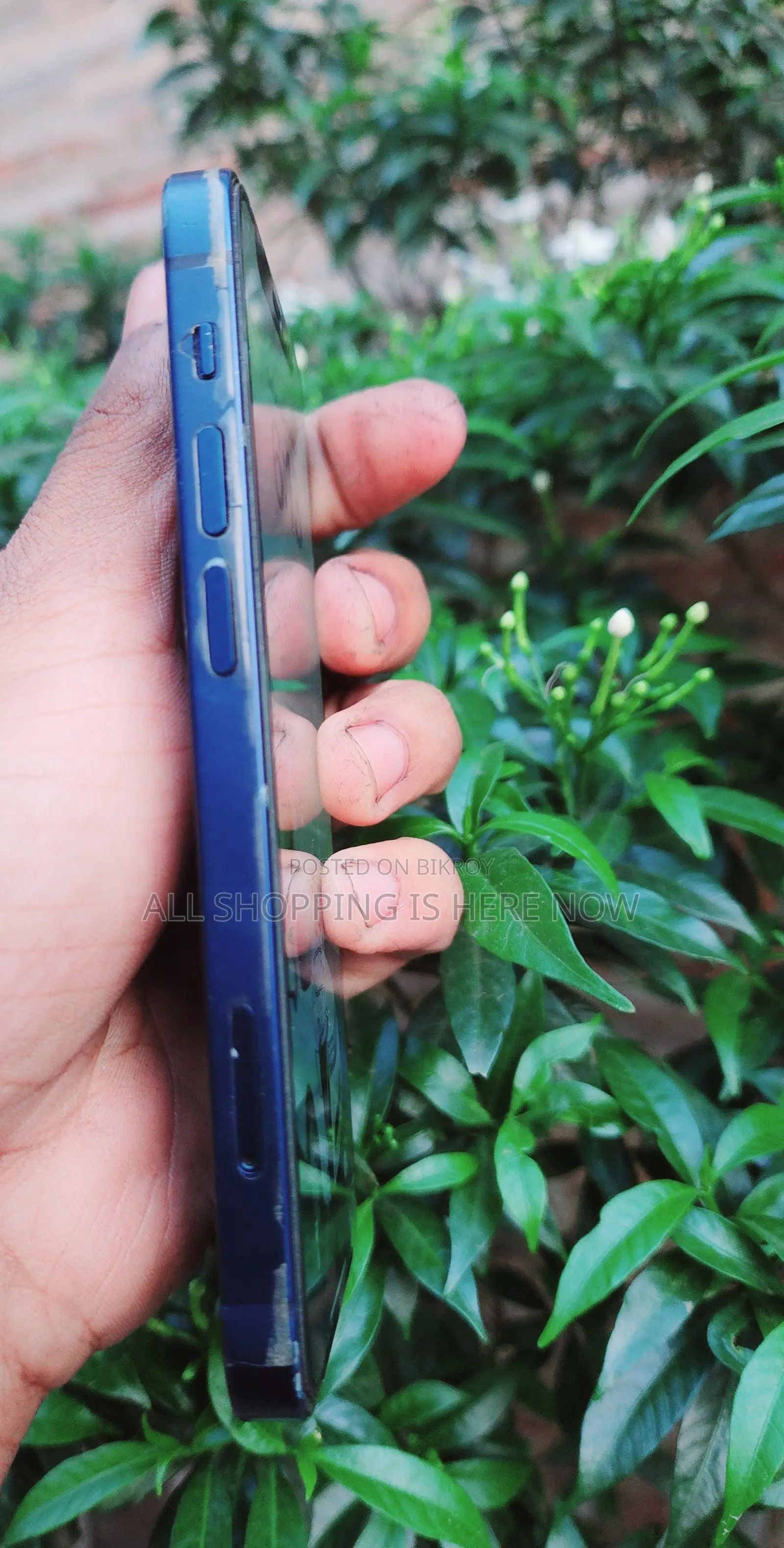 Apple iPhone 12 mini 128 GB Blue
