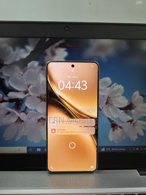 Vivo X200 Pro 512 GB Silver
