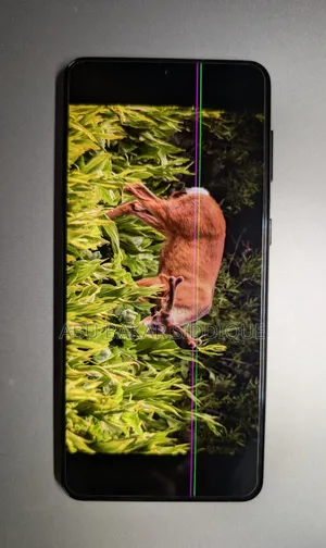 Samsung Galaxy S21+ 5G 128 GB Black