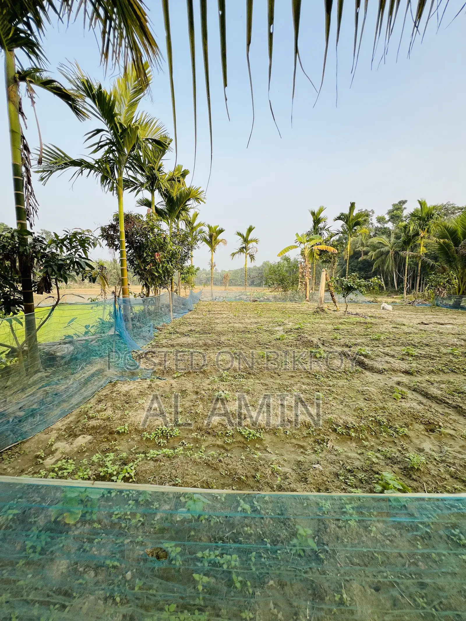 Ready homestead land