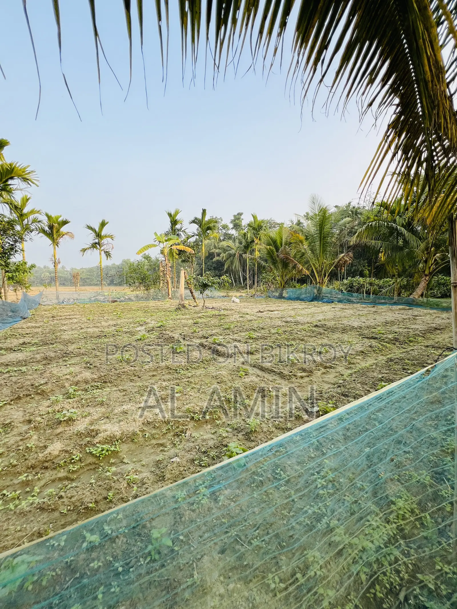 Ready homestead land
