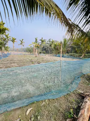 Ready homestead land