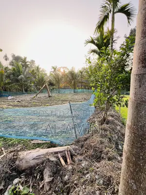 Ready homestead land
