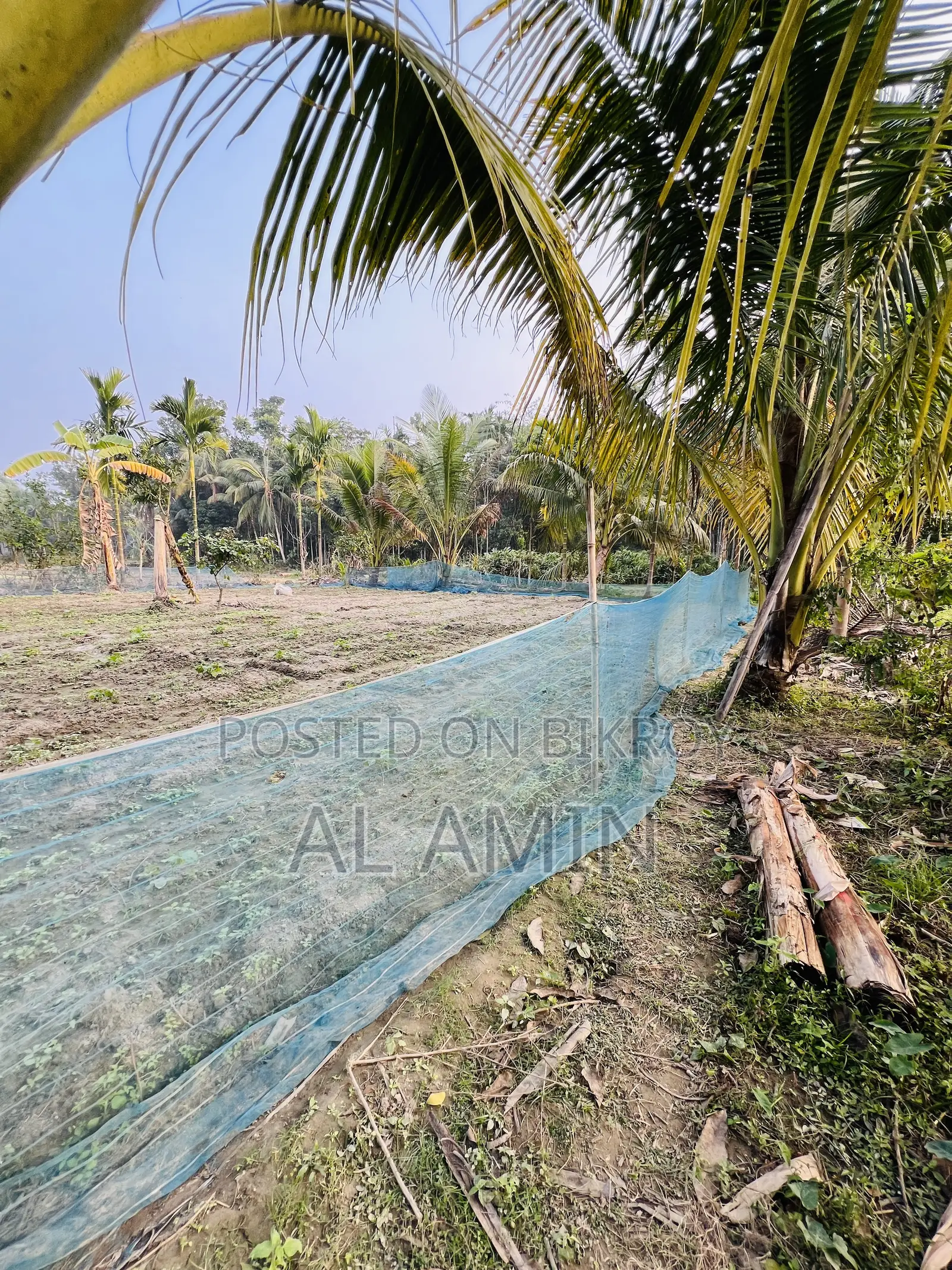 Ready homestead land