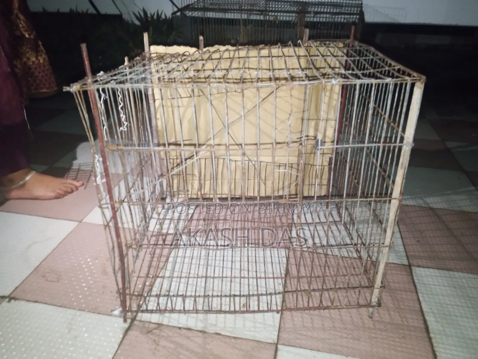 Old Cage