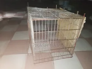 Old Cage