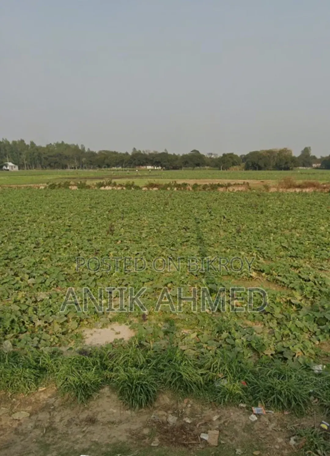 10 bigha land owned by a single owner will be rented out.