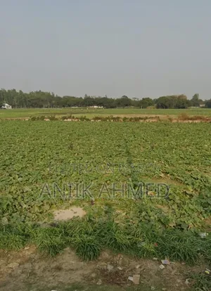 10 bigha land owned by a single owner will be rented out.