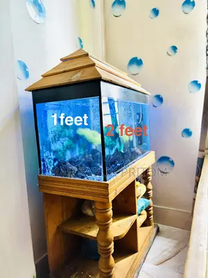Aquarium for Sale (1 foot/2 feet)