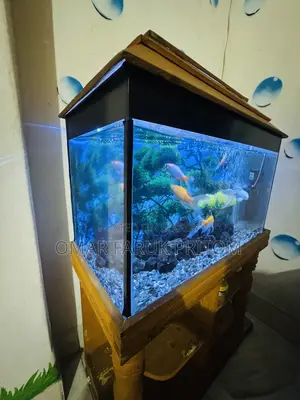 Aquarium for Sale (1 foot/2 feet)
