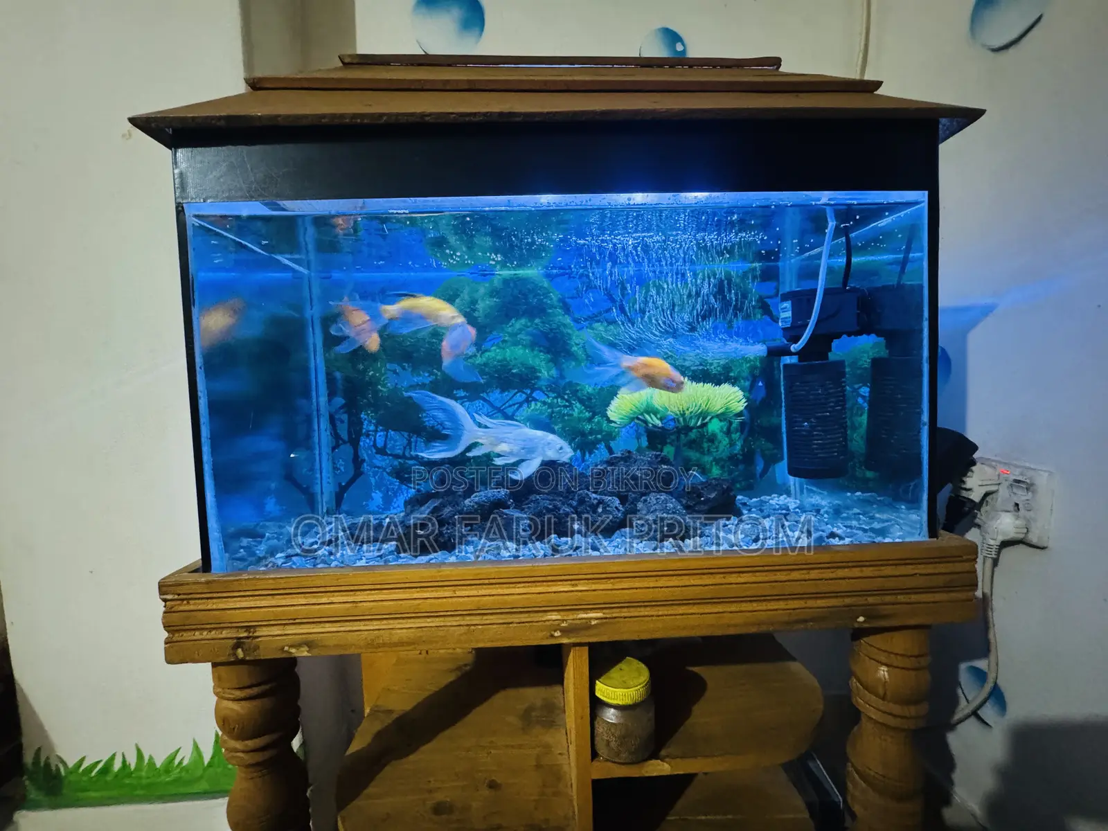 Aquarium for Sale (1 foot/2 feet)