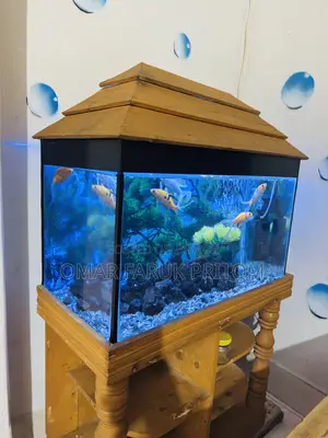 Aquarium for Sale (1 foot/2 feet)