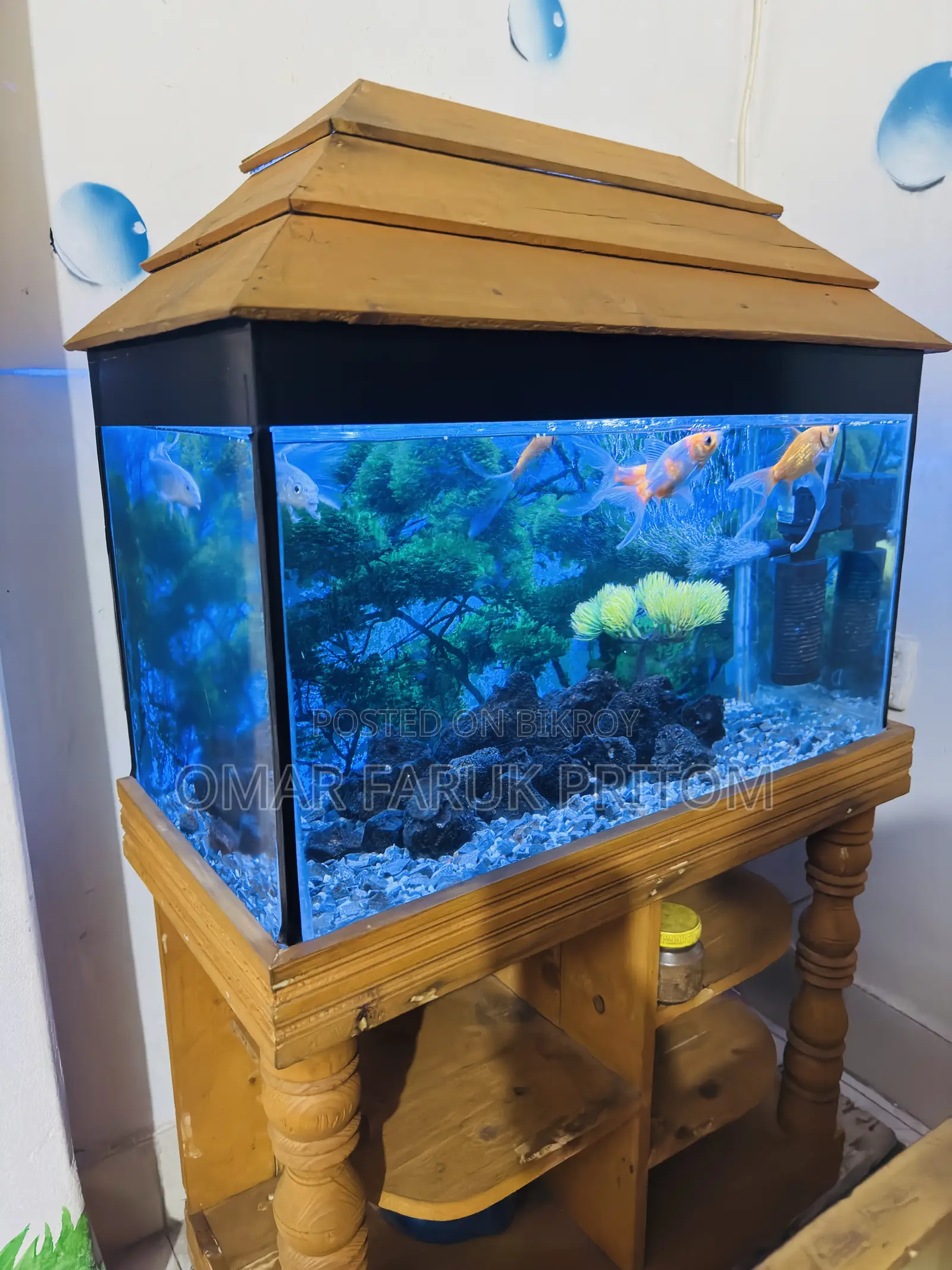 Aquarium for Sale (1 foot/2 feet)