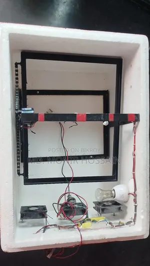 Ac/Dc Full Automatic Incubator for 80 Eggs