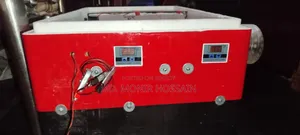 Ac/Dc Full Automatic Incubator for 80 Eggs