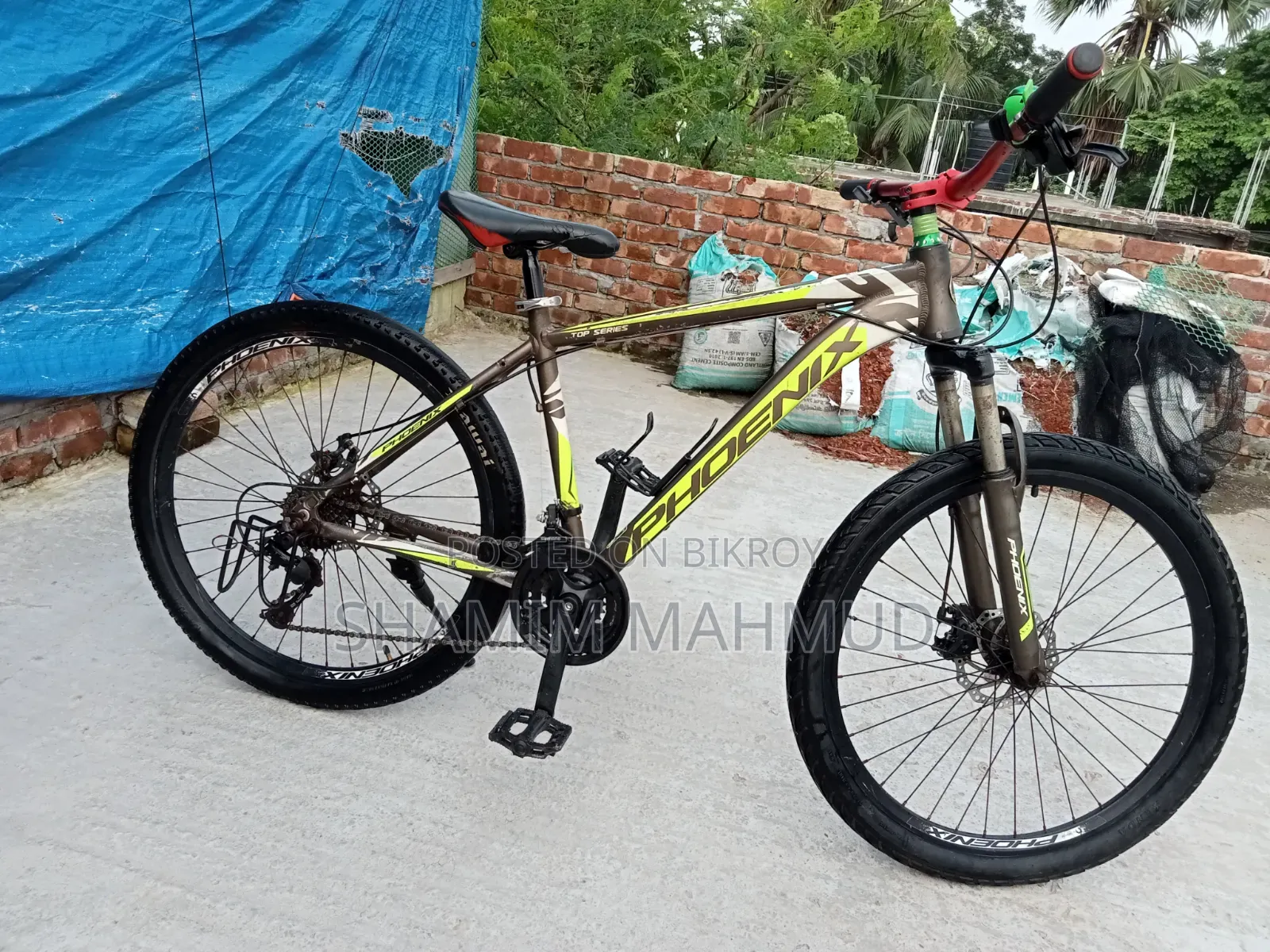 Phoenix Top Series Cycle 26'
