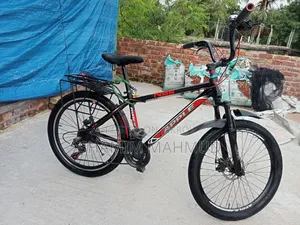 Apple Cycle 24 Size. Dual Seat