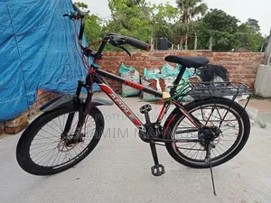 Apple Cycle 24 Size. Dual Seat