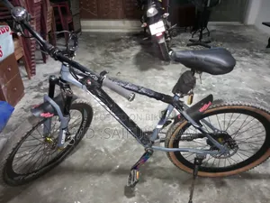 বাইসাইকেল ২০২৪