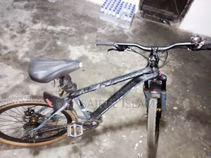 বাইসাইকেল ২০২৪
