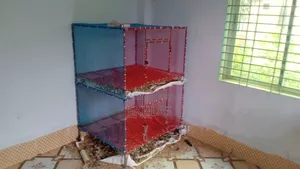 Cage for sale (2 compartments)