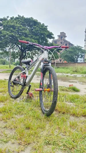 স্টান্ট এবং রাইডিংয়ের জন্য এমটিবি সাইকেল